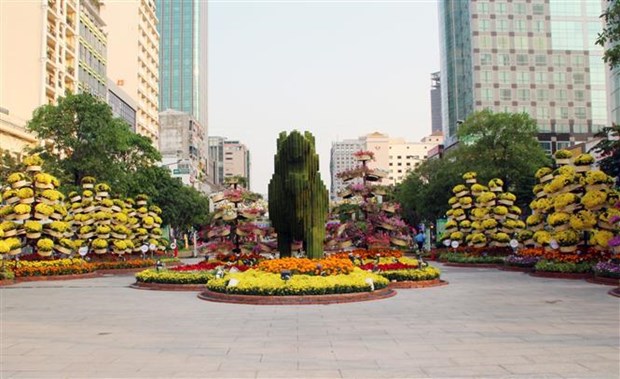 Nguyen Hue Flower Street opens in HCM City hinh anh 1