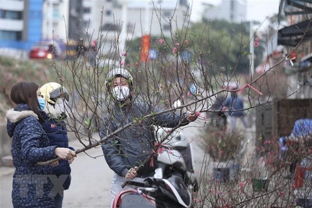 Intensified cold wave hits north, north central regions hinh anh 1