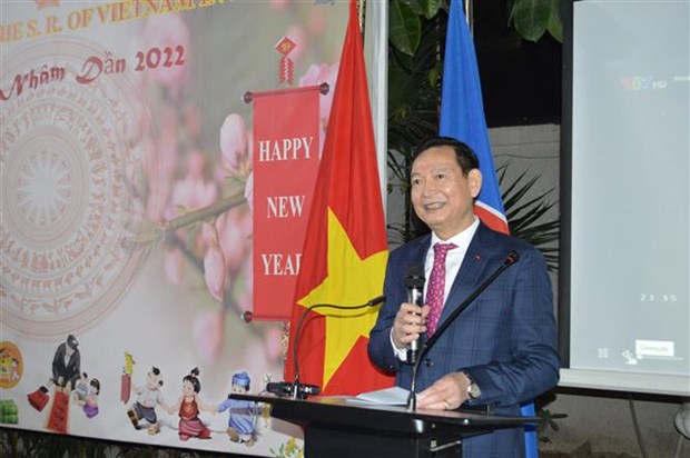 Vietnamese people in Egypt, Russia celebrate Lunar New Year hinh anh 1