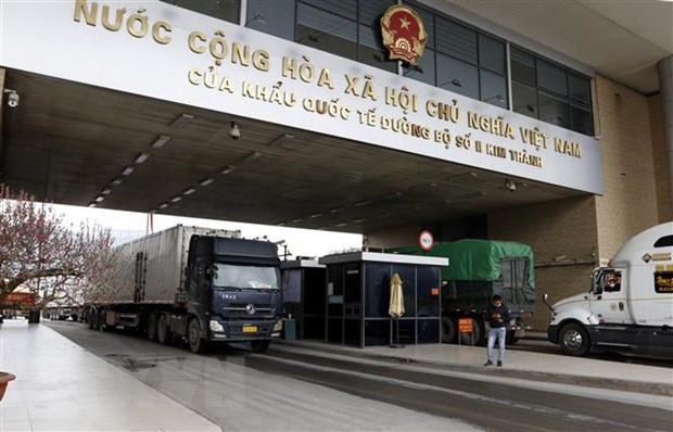 Vietnam exports 287 tonnes of farm produce to China through Lao Cai from Feb.1-3 hinh anh 1