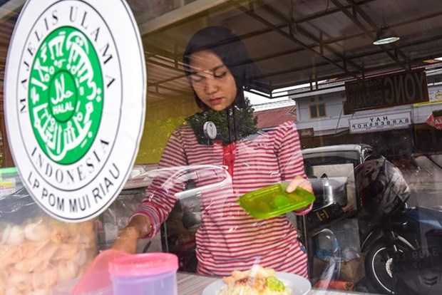 Indonesia’s halal product export potential hits 3.6 billion USD hinh anh 1