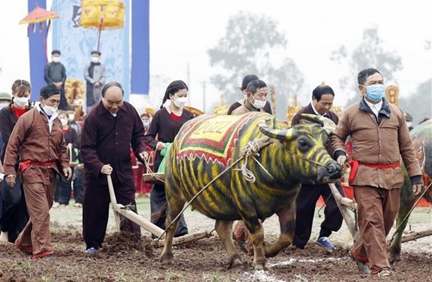 President attends ploughing festival in Ha Nam hinh anh 1