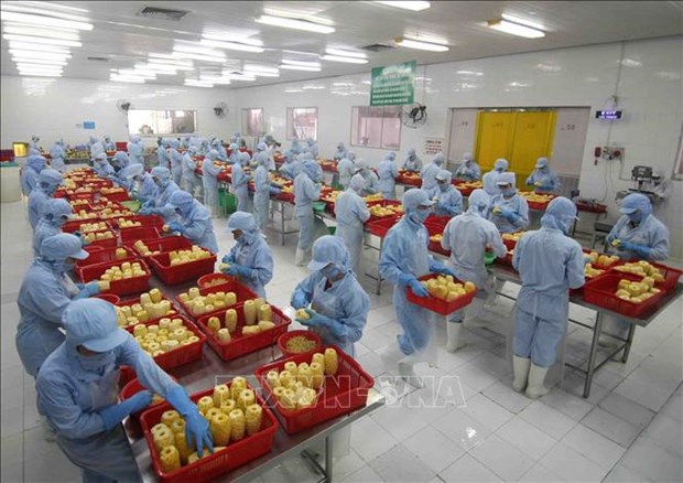 Bright prospect for Vietnam’s export in 2022 hinh anh 2