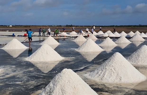 Vietnam’s salt industry must adapt: official hinh anh 1