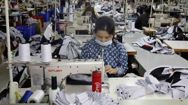 Export-import turnover up 83 percent during Tet holiday hinh anh 1