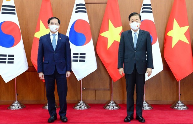 Vietnam, RoK Foreign Ministers talk ways to advance partnership hinh anh 1