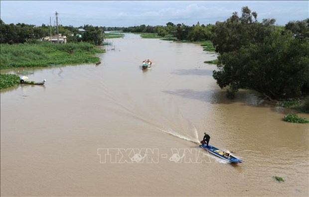 Mekong Delta region forecast to suffer highest salinity level in February, March hinh anh 1