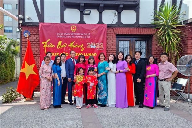 Vietnamese community in Chile celebrates Tet festival hinh anh 1