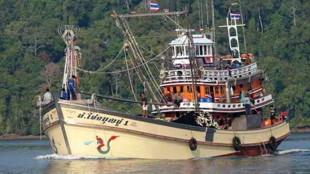 Thailand sets up special unit to deal with illegal fishing hinh anh 1