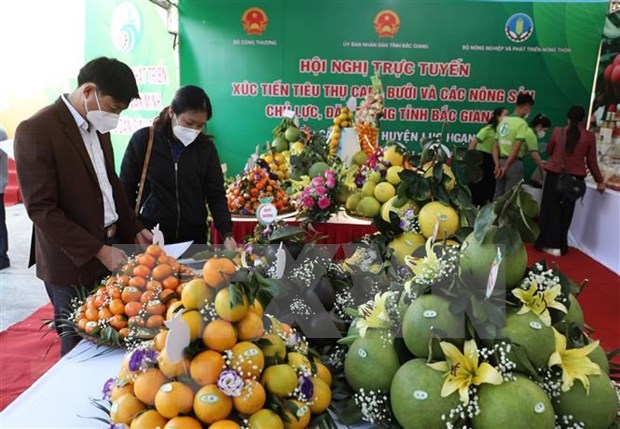 Bac Giang moves to promote sale of farm produce on e-commerce platforms hinh anh 2