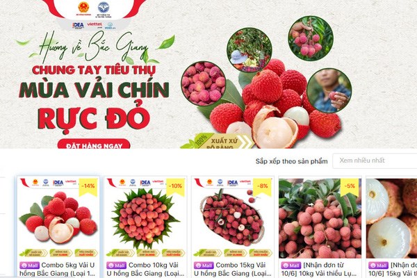Bac Giang moves to promote sale of farm produce on e-commerce platforms hinh anh 1