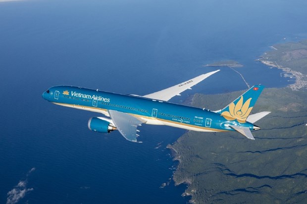 Japanese police arrest suspect threatening to shoot down Vietnam Airlines plane hinh anh 1