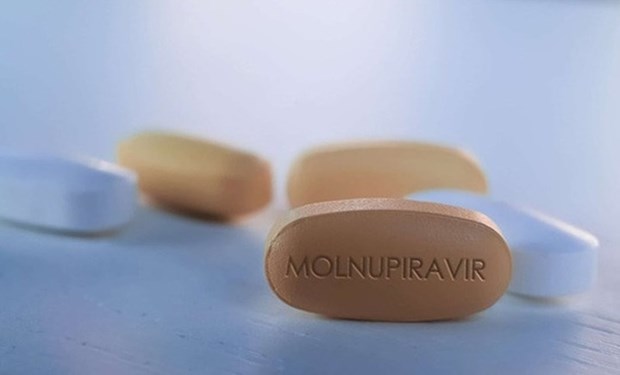 Ministry licences three domestically-produced Molnupiravir drugs to treat COVID-19 hinh anh 1