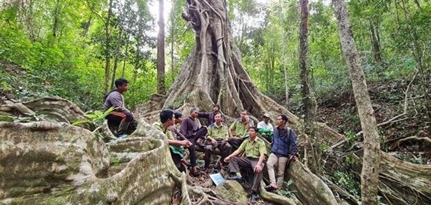 Relentless efforts to protect Kon Ha Nung biosphere reserve hinh anh 1