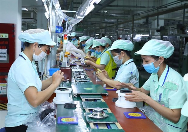 Computer, electronic product exports could soon reach 60 billion USD hinh anh 1