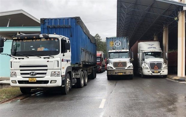 Quang Tri: Imports, exports via international border gates soar hinh anh 1