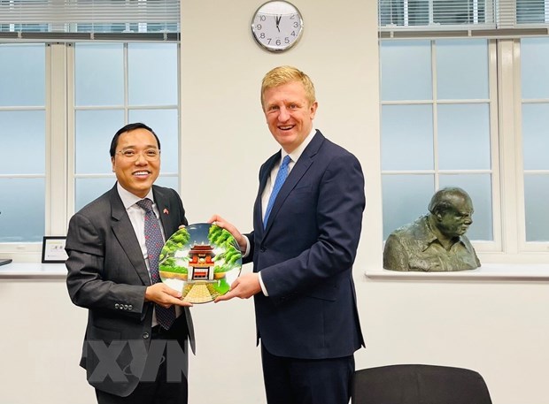 Conservative Party backs Vietnam-UK ties promotion: Chairman hinh anh 1