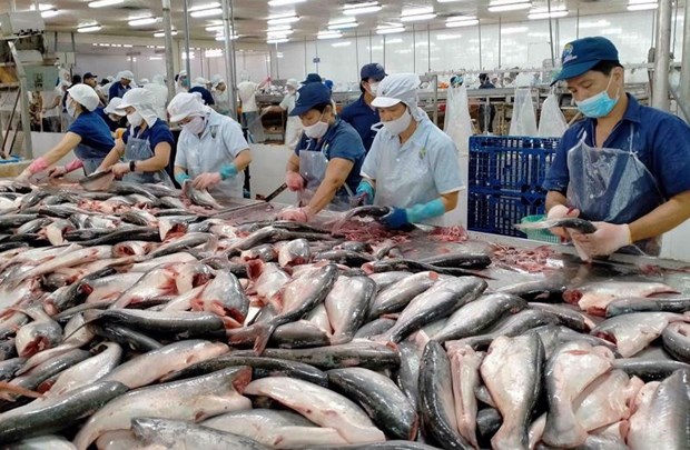 An Giang official suggests building trademark for Mekong Delta catfish hinh anh 1