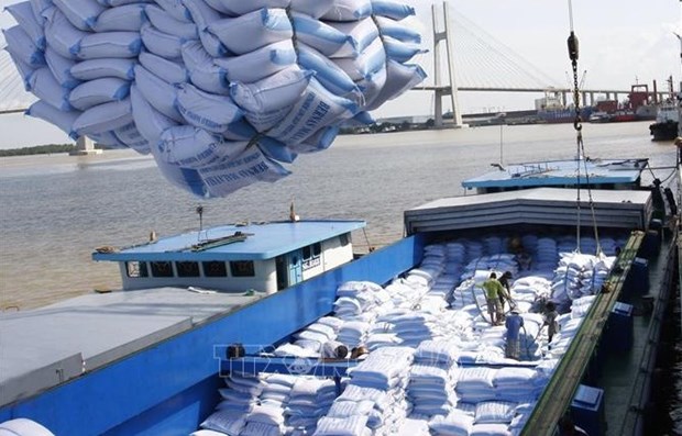 Over 55,000 tonnes of Vietnamese rice exported to RoK to enjoy 5 percent tax rate hinh anh 1