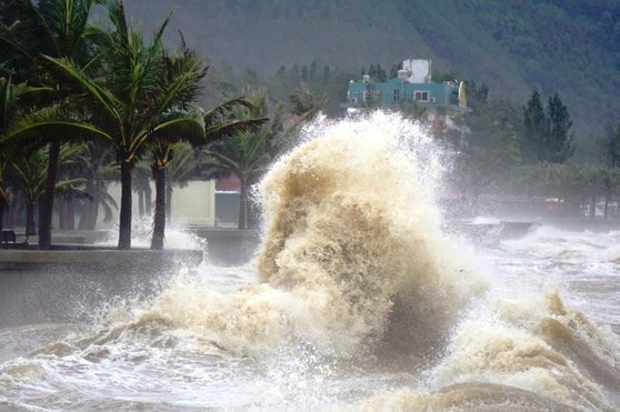 Dozen of storms to enter East Sea this year hinh anh 2