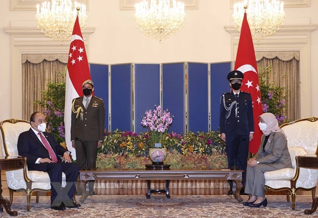 President’s Singapore visit helps realise foreign relations policy: official hinh anh 1