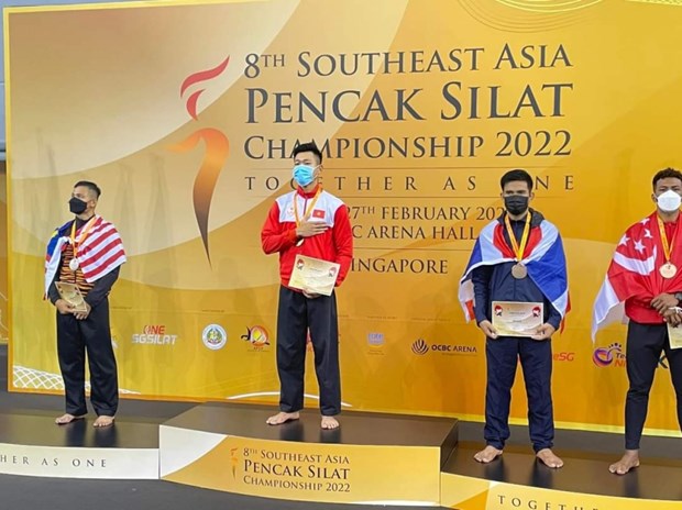 Vietnam win nine golds at regional pencak silat champs hinh anh 1