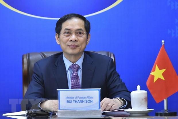 Foreign Minister addresses UN Human Rights Council session hinh anh 1