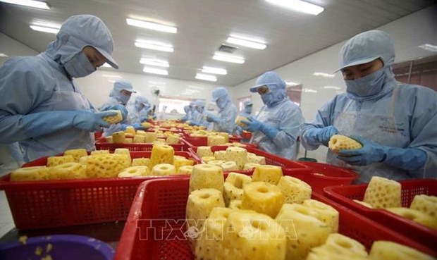 Vietnamese export, import affected by Russia-Ukraine conflict: experts hinh anh 1
