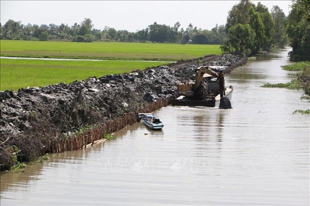 Cold wave weakens in north, salt intrusion increases in south hinh anh 2