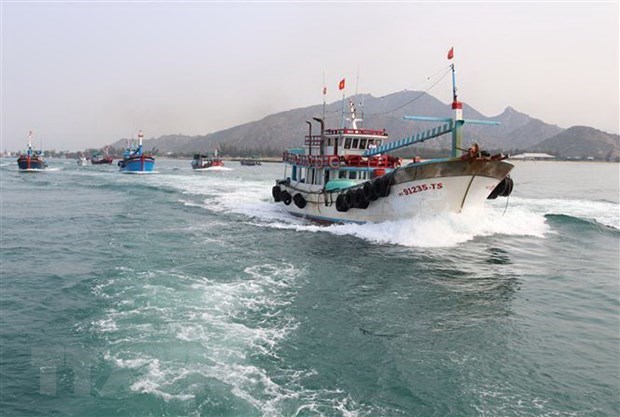 Tien Giang striving to develop sustainable offshore fishing: official hinh anh 1