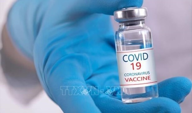 7 million doses of COVID-19 vaccines for children to arrive in Vietnam this month: health official hinh anh 2