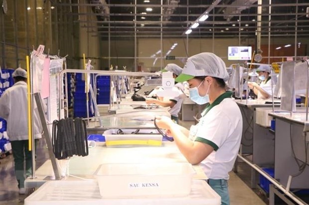 Binh Duong posts 2 bln USD trade surplus in two months hinh anh 1