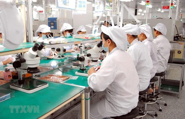 National economy expected to pick up pace this year hinh anh 1