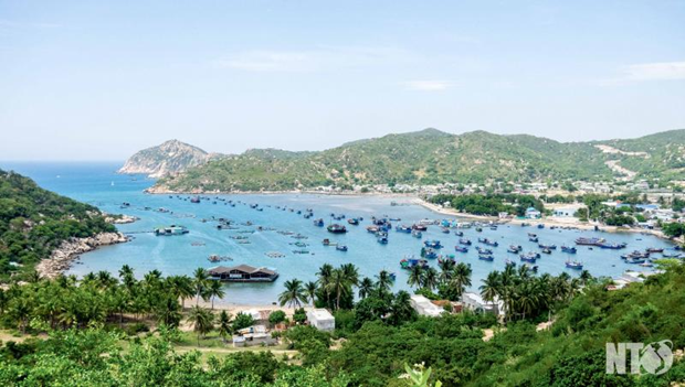 Ninh Thuan builds sustainable marine economic development strategy hinh anh 2