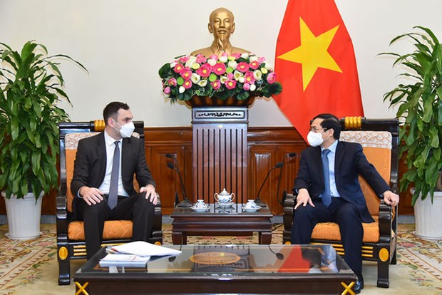 Vietnam values Poland’s support to protect Vietnamese citizens: FM hinh anh 1
