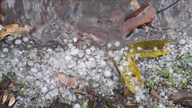 Hailstorm wreaks havoc in Son La hinh anh 1