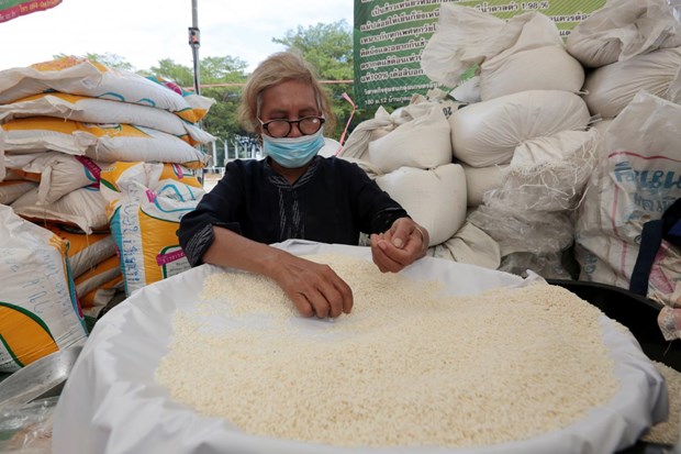 Thailand’s rice prices forecast to rise 5 percent in Q2 hinh anh 1