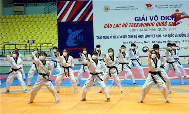 Taekwondo tournament marks 30 years of Vietnam-RoK ties hinh anh 1