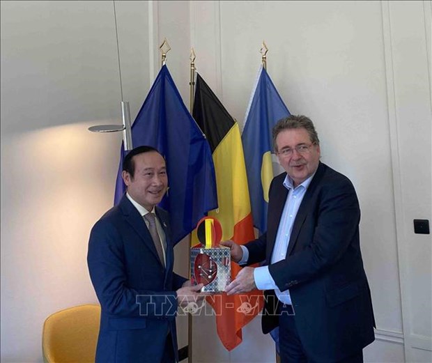 Brussels-Capital Region seeks stronger cooperation with Vietnamese localities hinh anh 1