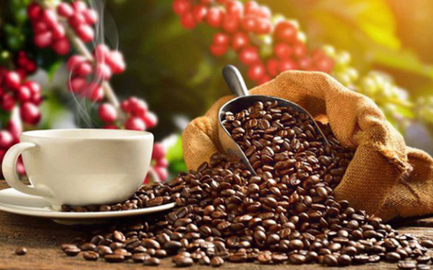 Japan’s coffee imports from Vietnam increase hinh anh 1