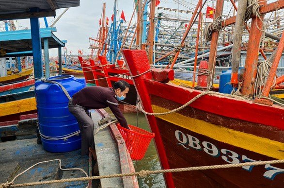 Quang Binh fishermen raise awareness of marine protection hinh anh 1