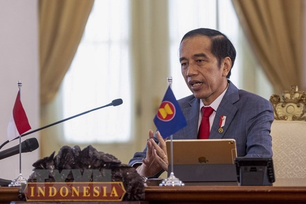 Indonesian President calls for talks to resolve Russia-Ukraine tension hinh anh 1
