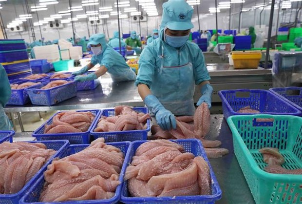 Chances for Vietnam farm produce to strengthen position in global market: insiders hinh anh 1
