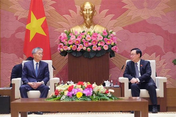 Top legislator welcomes Japanese firm’s interest in clean energy development in Vietnam hinh anh 1