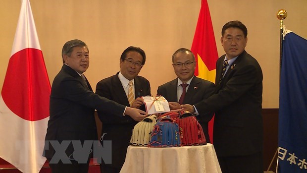 Japan wants to help Vietnam develop baseball hinh anh 1