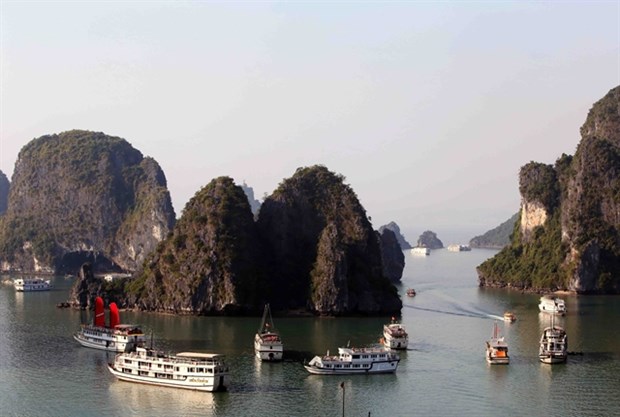 Travel agencies ready to welcome int’l visitors hinh anh 1