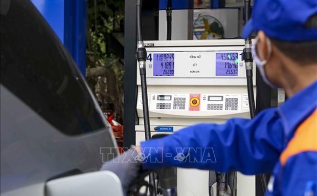 Gov’t approves draft resolution on environmental protection tax on petrol hinh anh 1