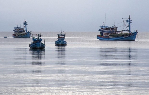 Ben Tre targets no ships infringing foreign waters while fishing hinh anh 1
