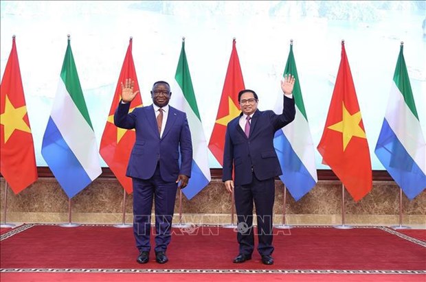 Sierra Leone values friendship, cooperation with Vietnam: President hinh anh 1