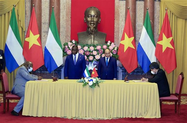 Vietnamese, Sierra Leonean Presidents discuss ways to boost cooperative ties hinh anh 3